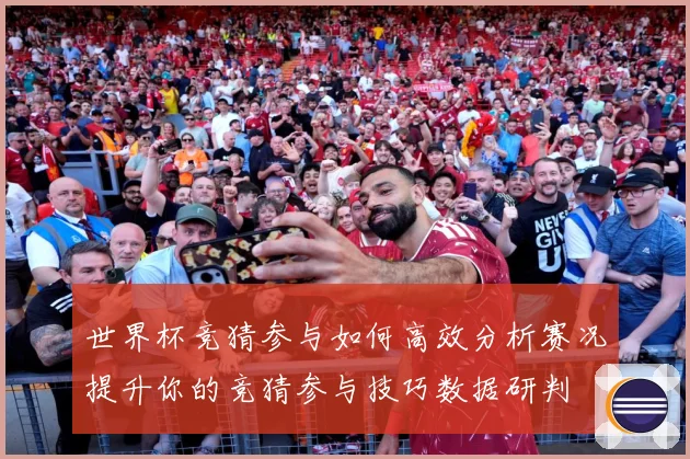 世界杯竞猜参与如何高效分析赛况提升你的竞猜参与技巧数据研判
